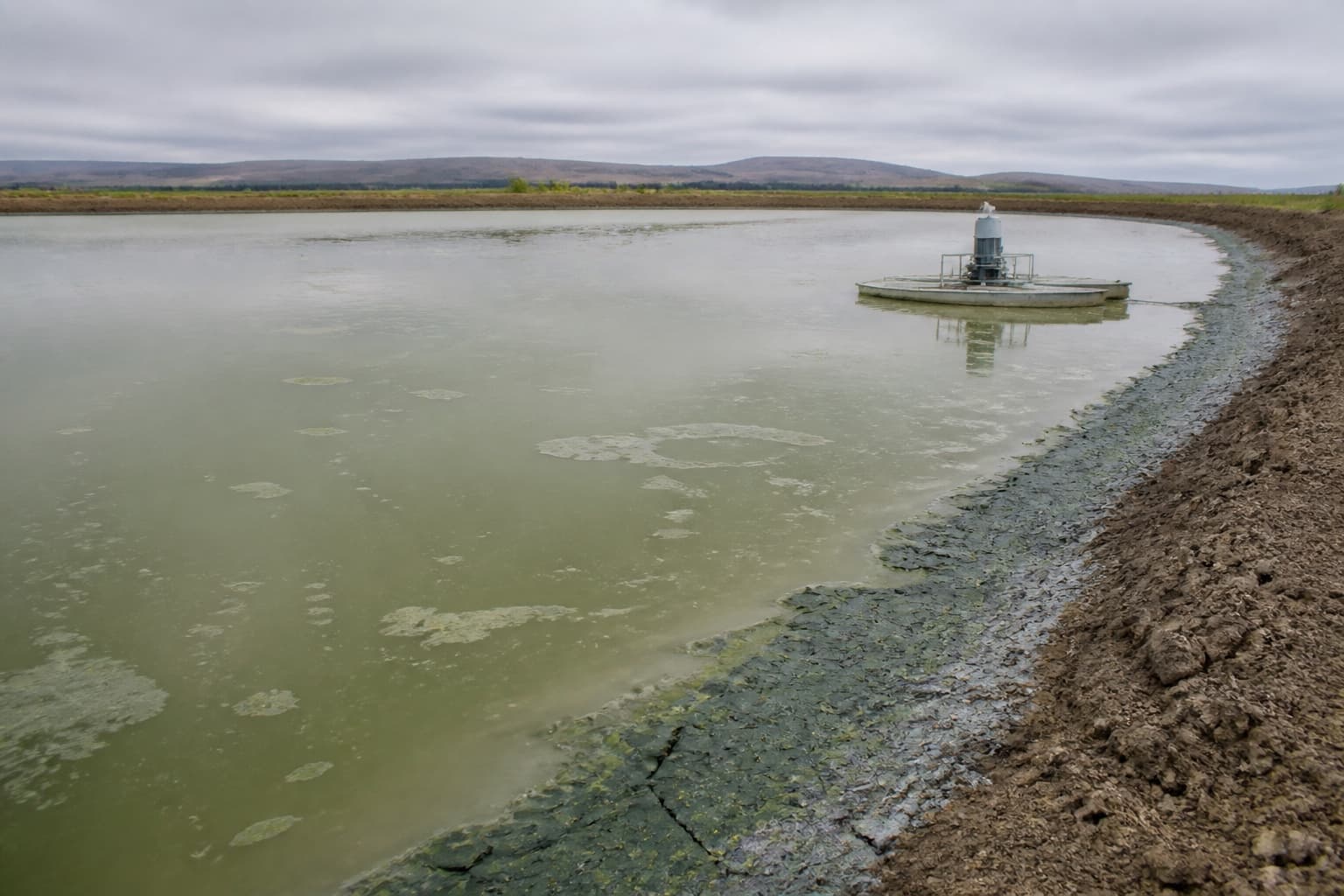 Laguna de tratamiento de aguas residuales con un aireador flotante y natas verdes acumuladas en la orilla